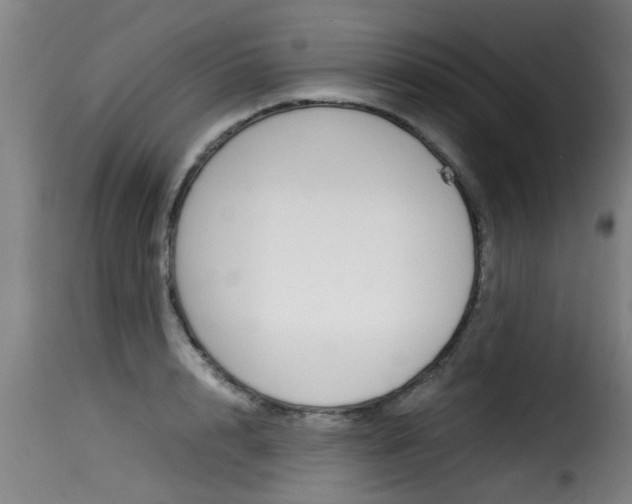 X0000116060848200911201159