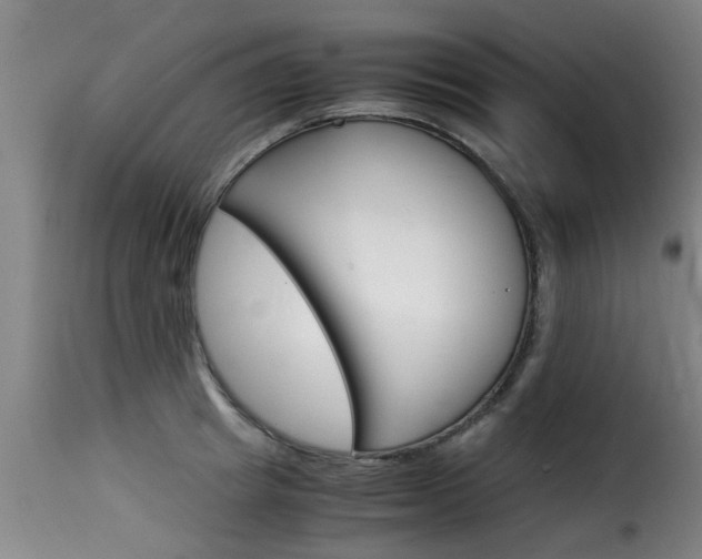 X0000116060849200911201159