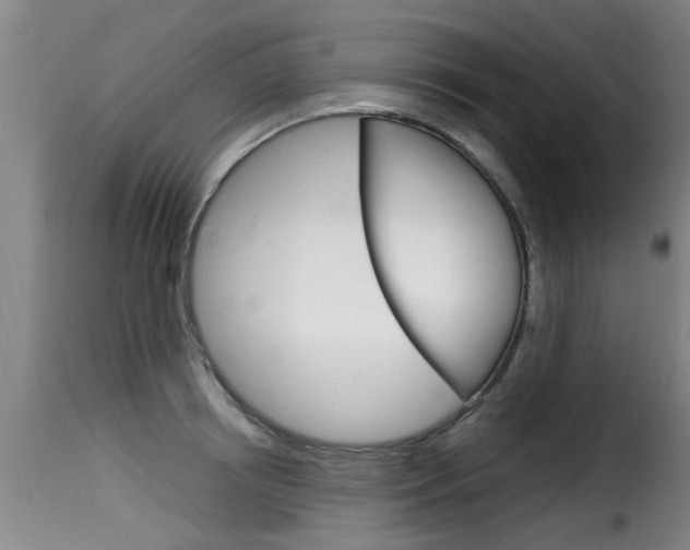 X0000116060850200911201159