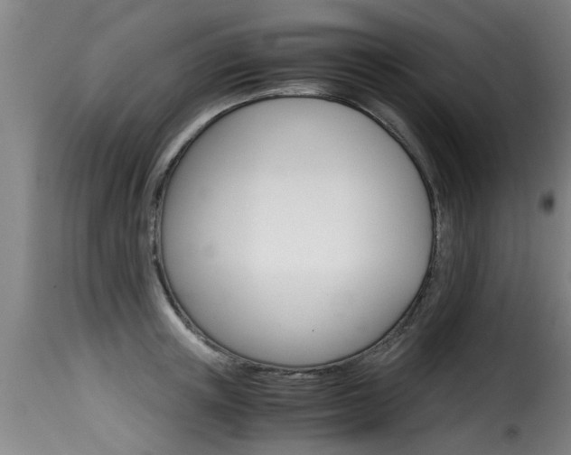 X0000116060851200911201159