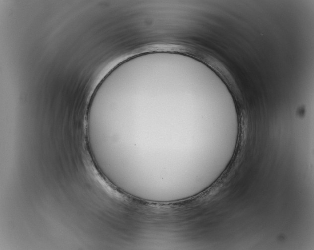 X0000116060852200911201159