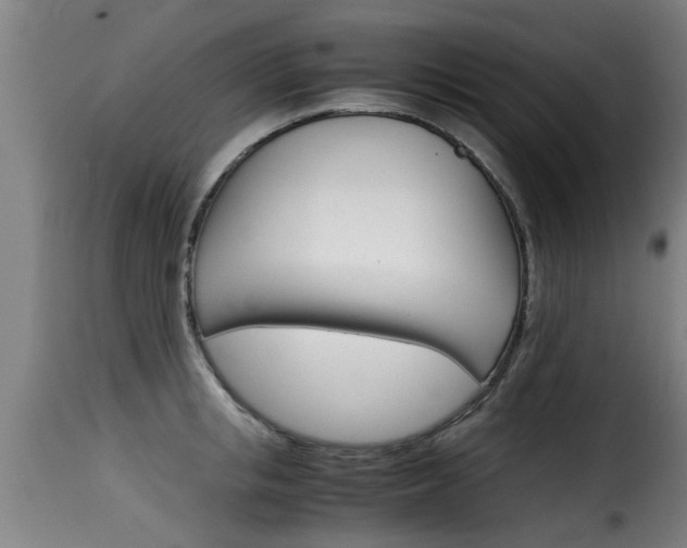 X0000116060853200911201159