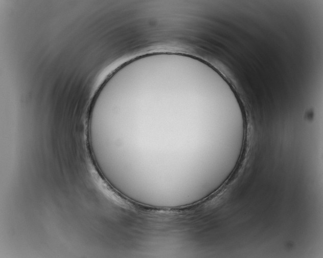 X0000116060854200911201159