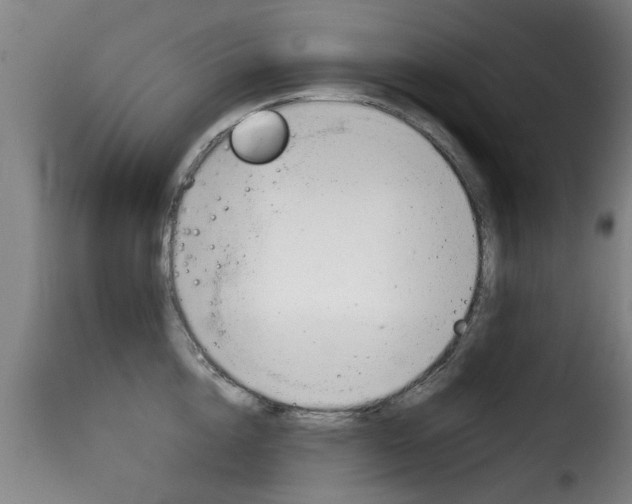 X0000116060856200911201159