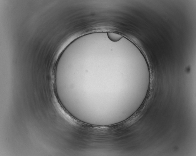 X0000116060859200911201159