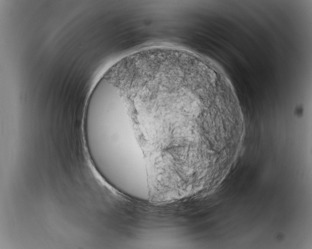 X0000116060863200911201159