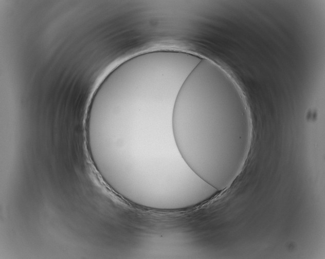X0000116060864200911201159