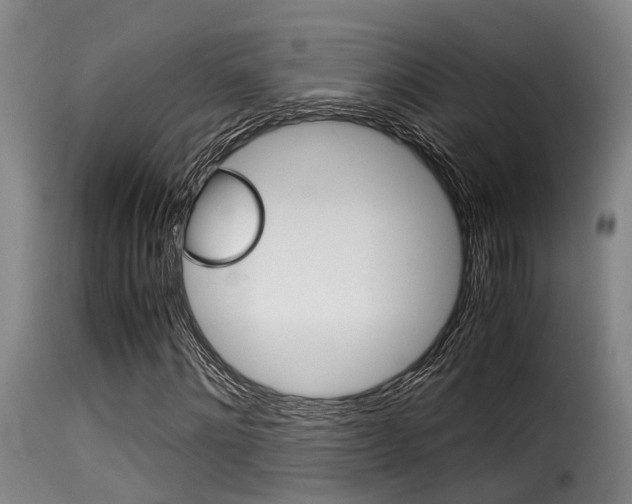 X0000116060868200911201158