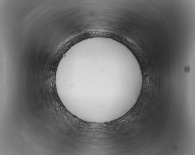 X0000116060870200911201158