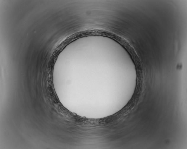 X0000116060871200911201158