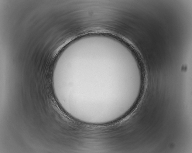X0000116060873200911201158