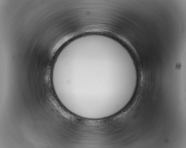 X0000116060874200911201158