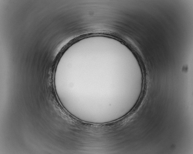 X0000116060875200911201158