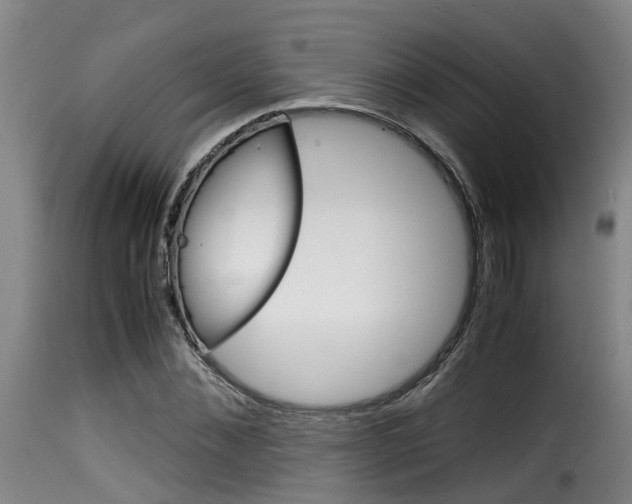 X0000116060876200911201158