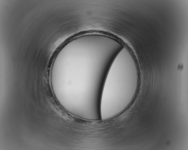 X0000116060879200911201158