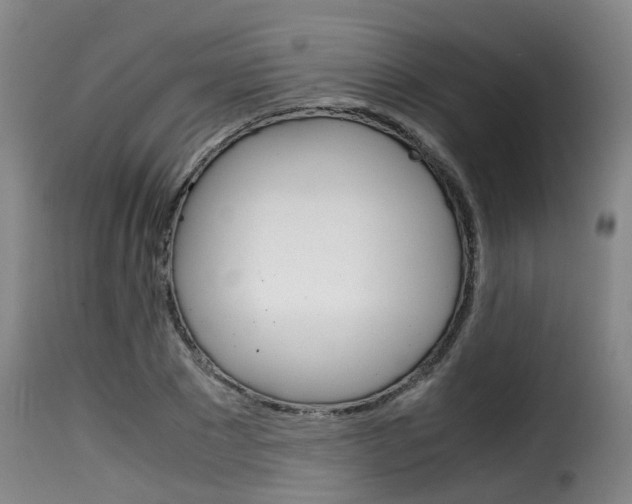 X0000116060881200911201158