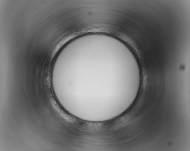X0000116060882200911201158