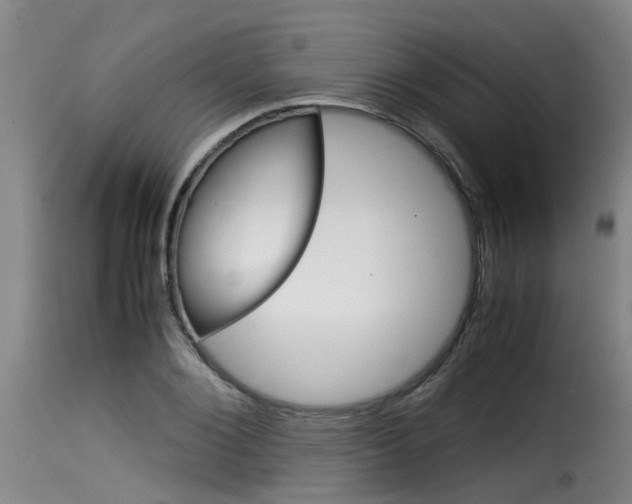 X0000116060884200911201158