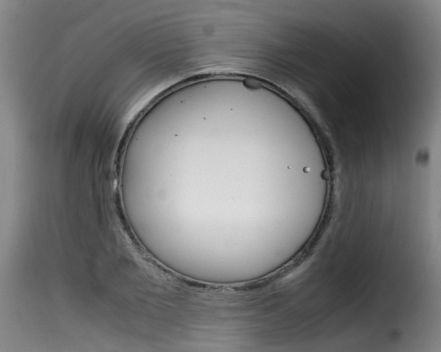 X0000116060885200911201158