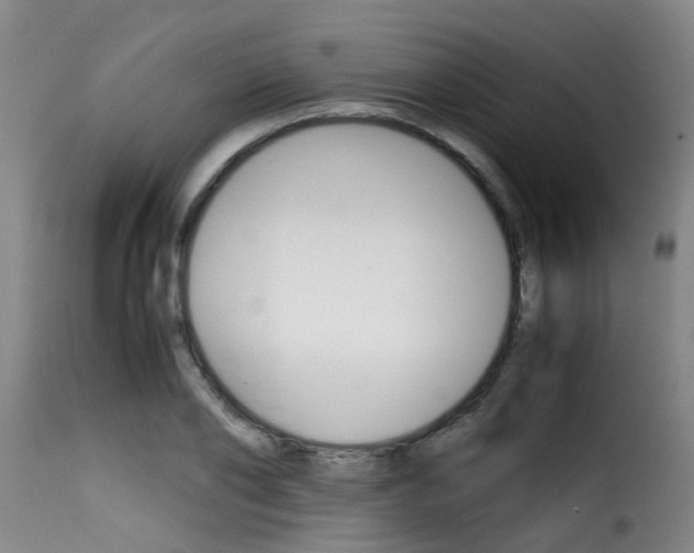 X0000116060886200911201158
