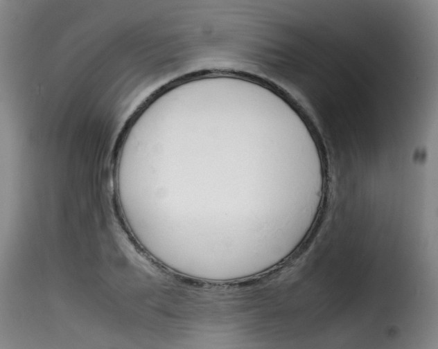 X0000116060887200911201158