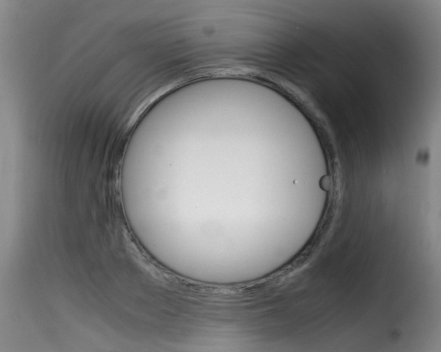 X0000116060889200911201158