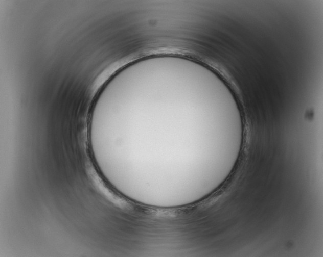 X0000116060890200911201158