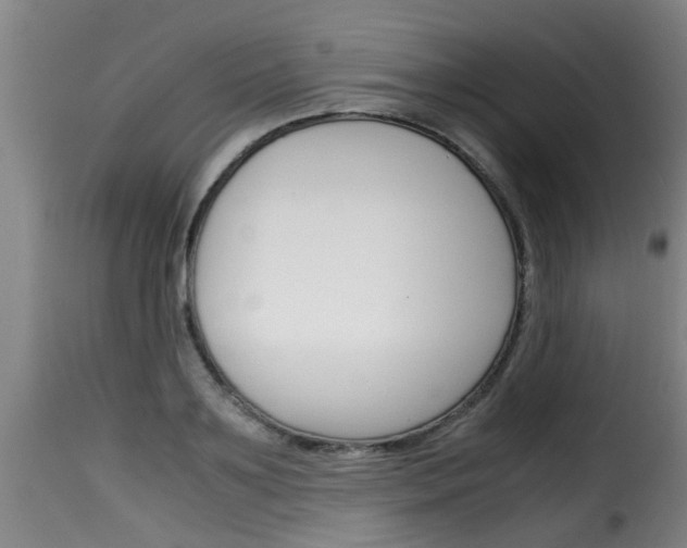 X0000116060891200911201158