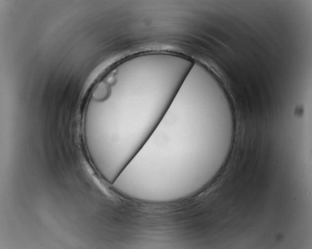 X0000116060894200911201158