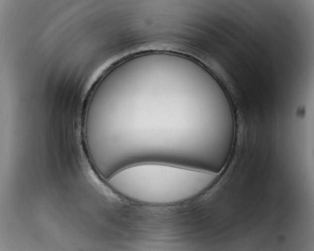 X0000116060896200911201158