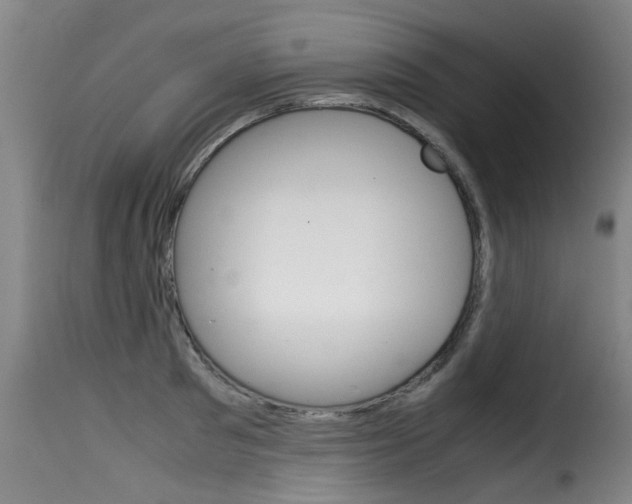 X0000116060897200911201158
