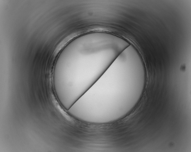 X0000116060898200911201158