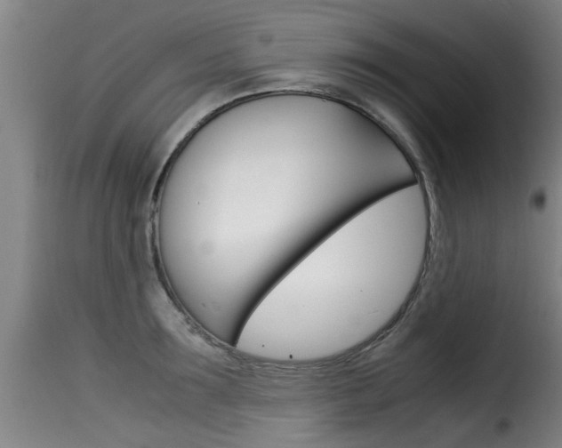 X0000116060899200911201158