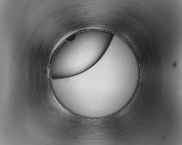 X0000116060900200911201158