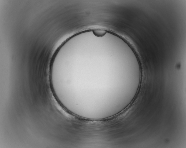 X0000116060902200911201158