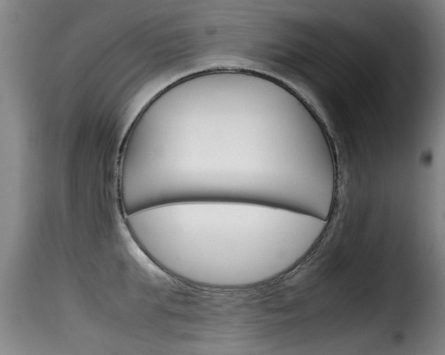 X0000116060903200911201158