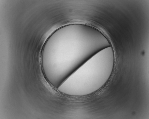 X0000116060907200911201158