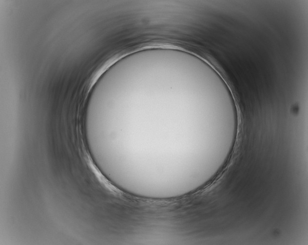 X0000116060909200911201158
