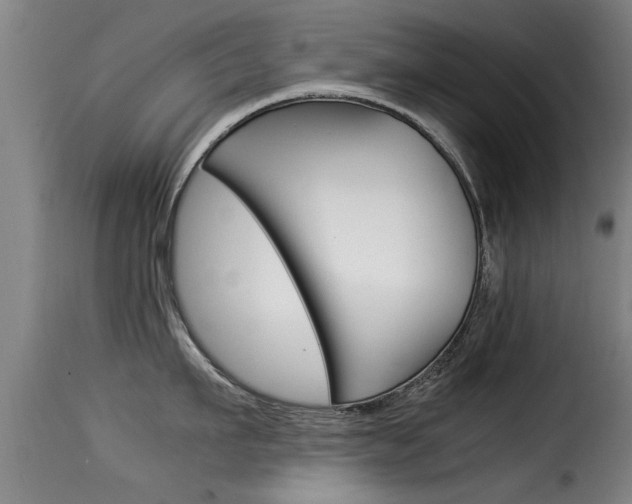 X0000116060911200911201158