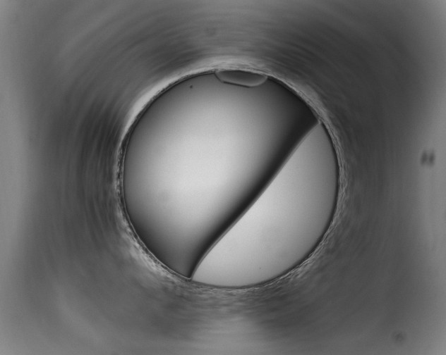 X0000116060912200911201158
