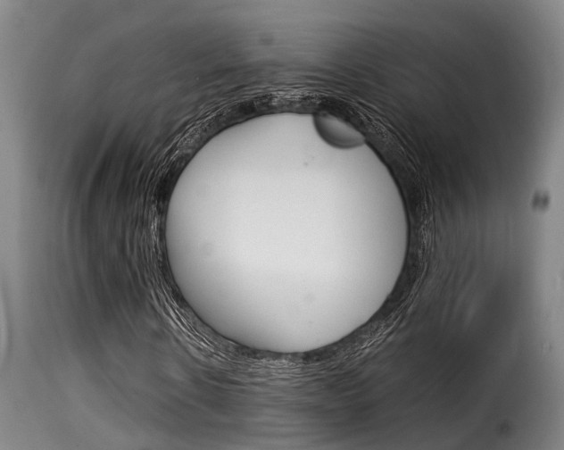 X0000116060914200911201157