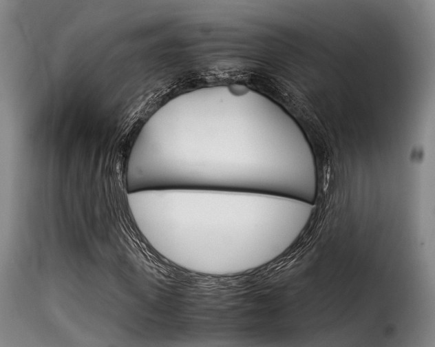 X0000116060915200911201157