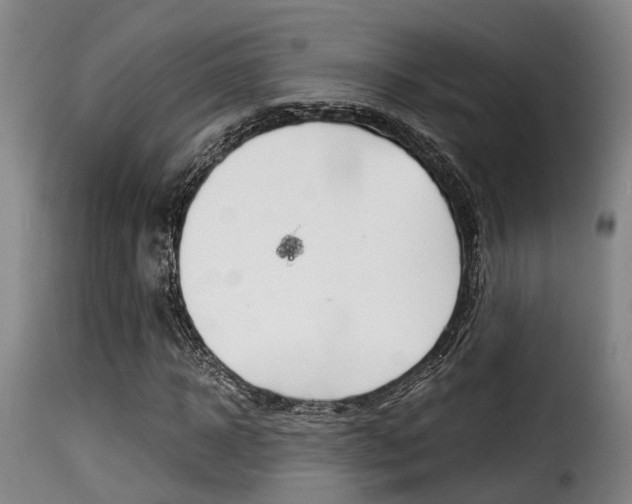 X0000116060918200911201157