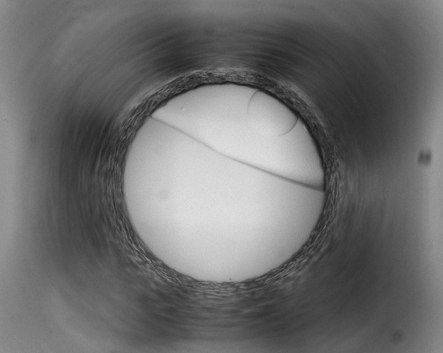 X0000116060919200911201157