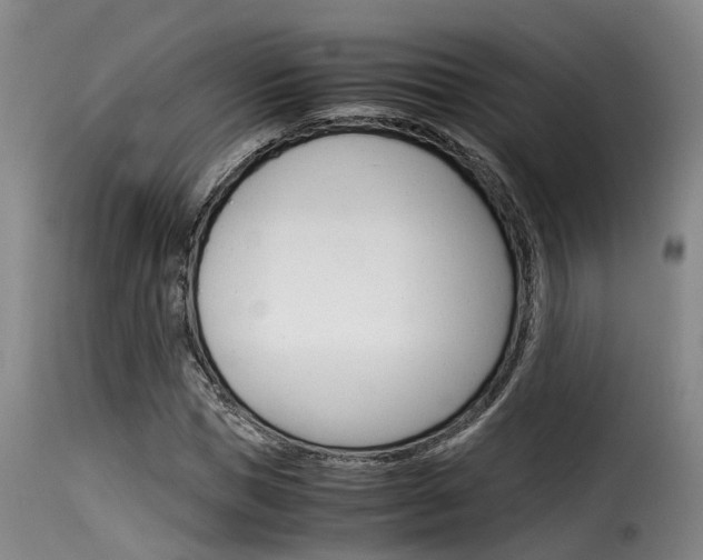 X0000116060921200911201157