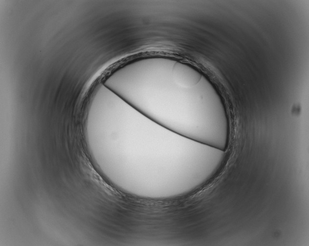 X0000116060923200911201157