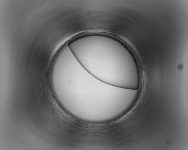 X0000116060925200911201157