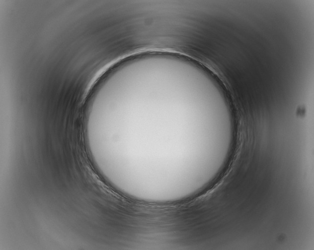 X0000116060926200911201157