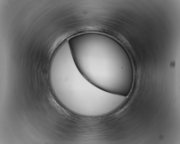 X0000116060930200911201157