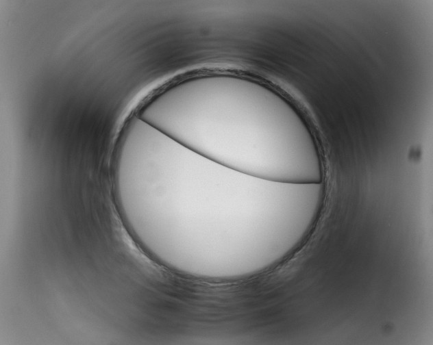 X0000116060935200911201157